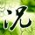 duta168 aplikasi judi slot online Fumino Kimura piala dunia akan dimulai mengungkap episode 